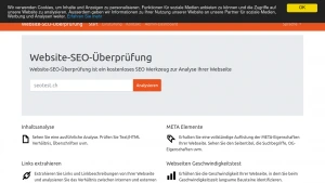 Скріншот сайту SEOtest — безкоштовний аналіз сайту та перевірка SEO